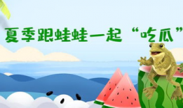 51呱呱爆料吃瓜入口,娱乐圈最新吃瓜入口，揭秘明星幕后故事